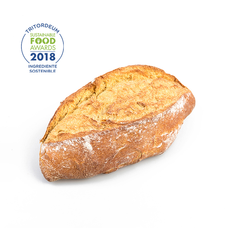 Pa Tritordeum Int. Panem Unique  