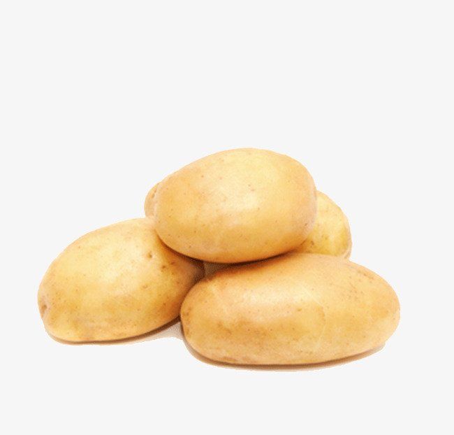 PATATA BLANCA AGRIA