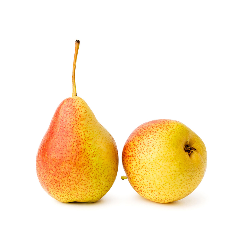 PERA ERCOLINA