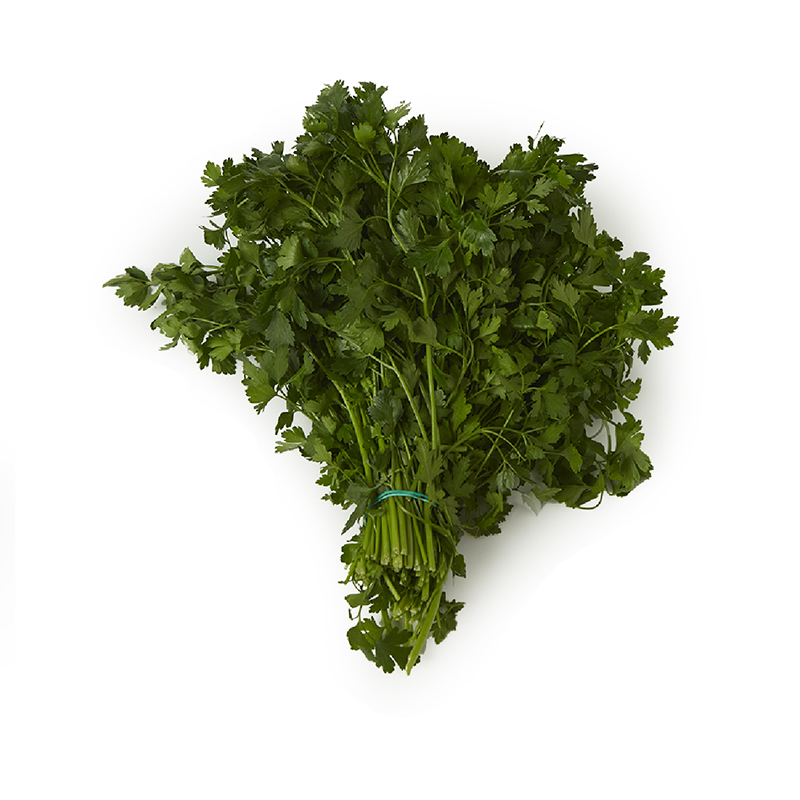 PEREJIL FINCA LA MES GRANEL