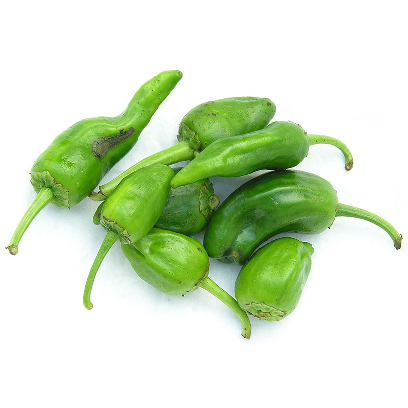 Pebrot Padrón  