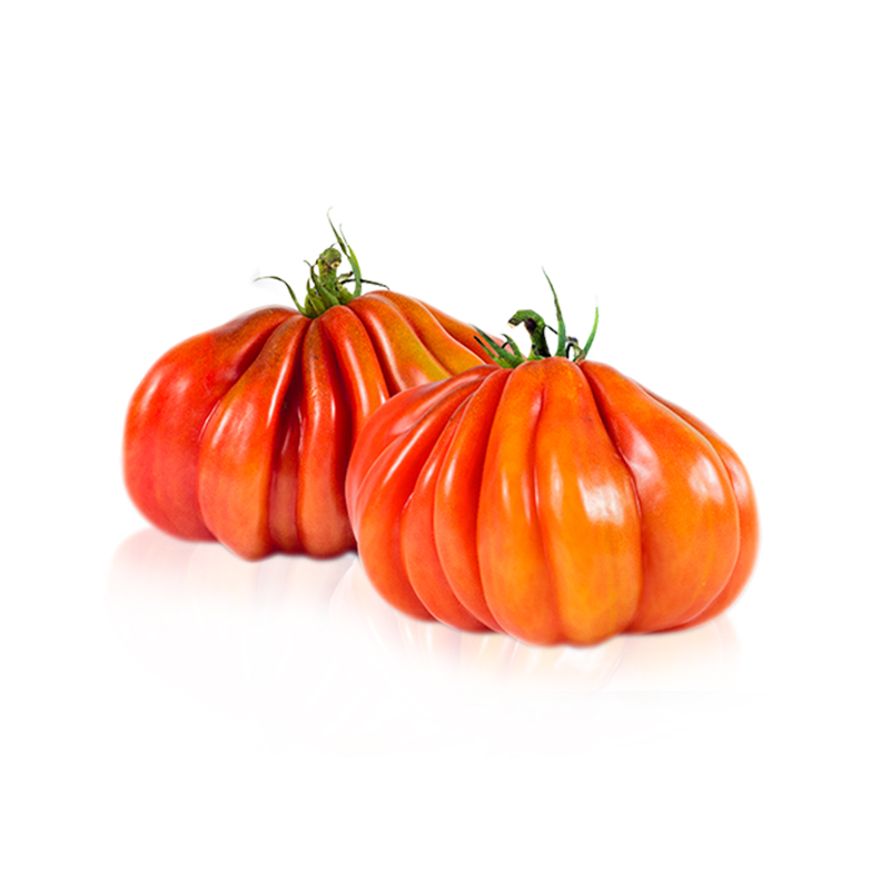 TOMATE CORAZÓN DE BUEY