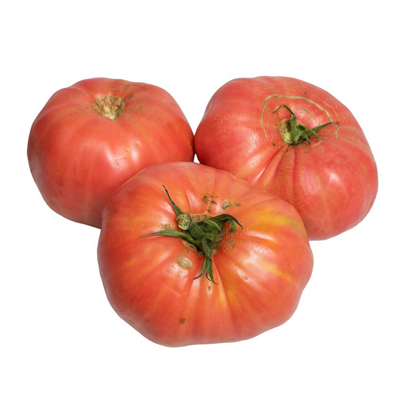 TOMATE ROSADO (ALTEA)