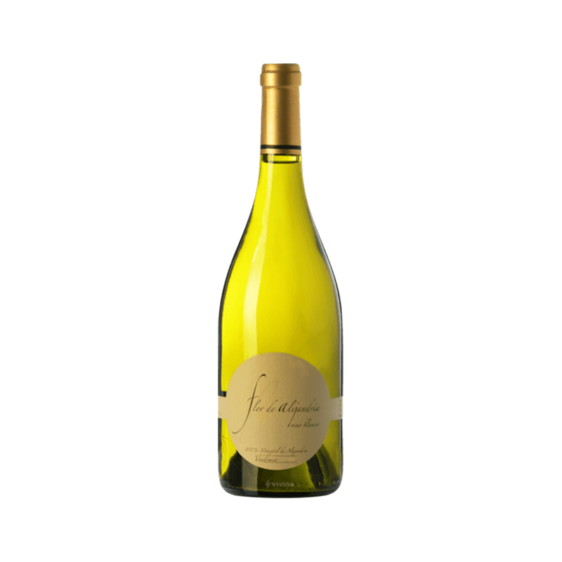 FLOR DE ALEJANDRIA TERRA VINEAS