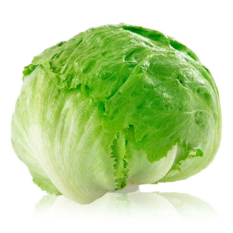 LECHUGA ICEBERG