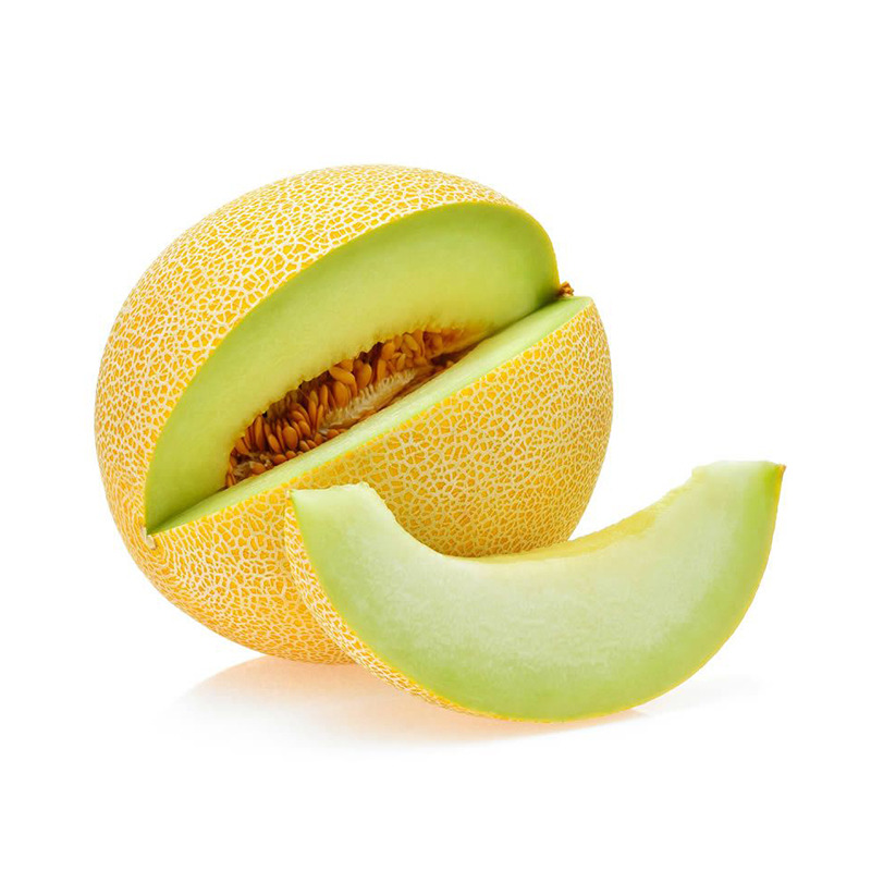 MELON GALIA