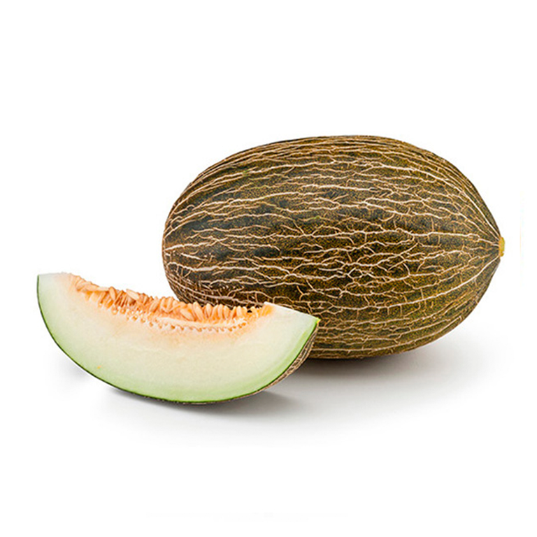 MELON PIEL DE SAPO
