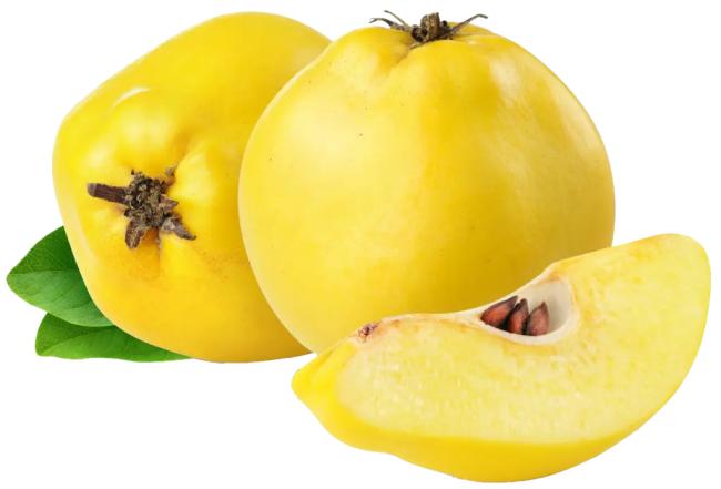 MEMBRILLO