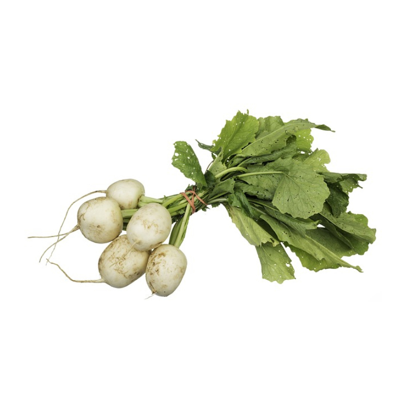 Nabo Blanc Maçada  