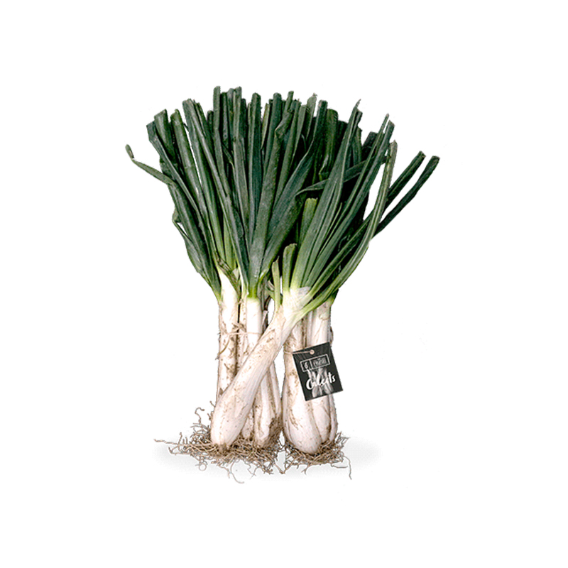 CALÇOTS MANOJO