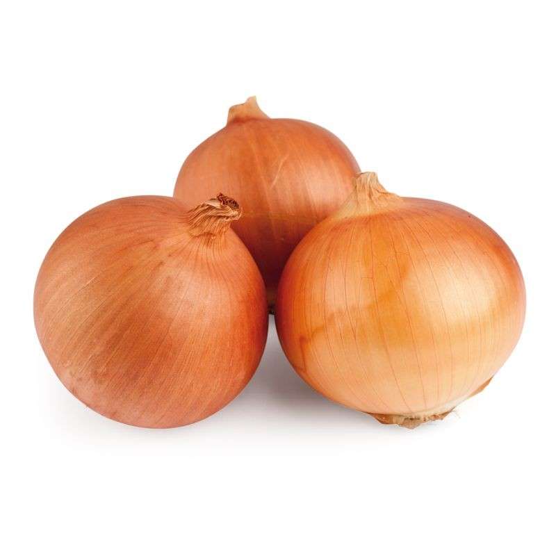 CEBOLLA SECA