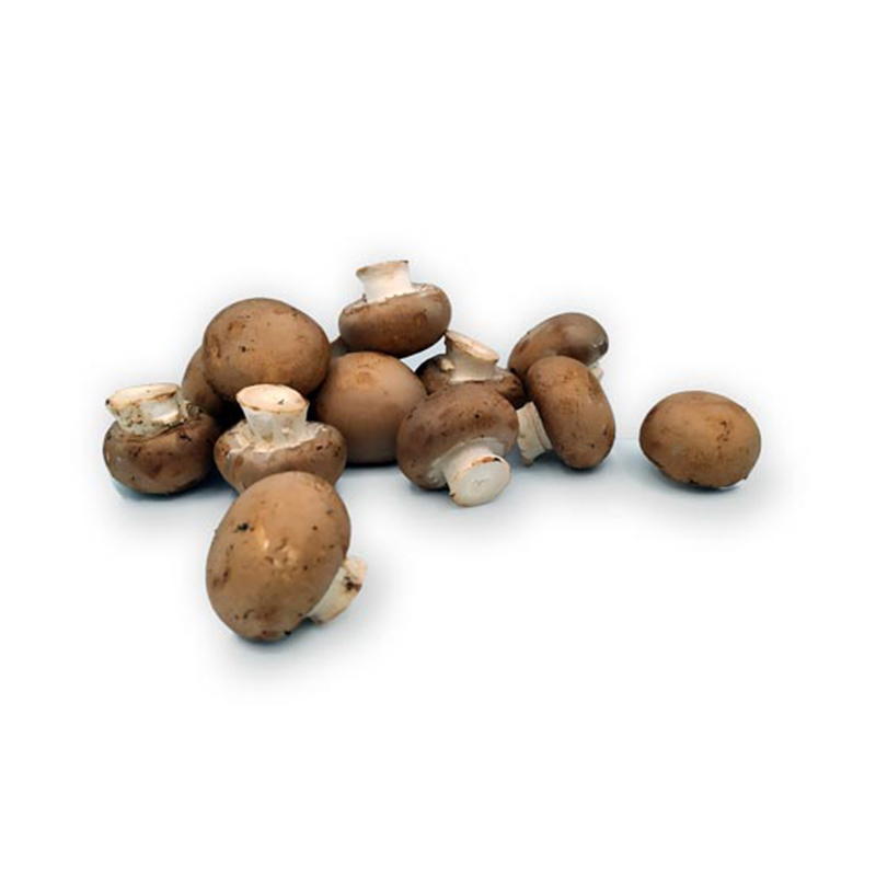 CHAMPIÑON