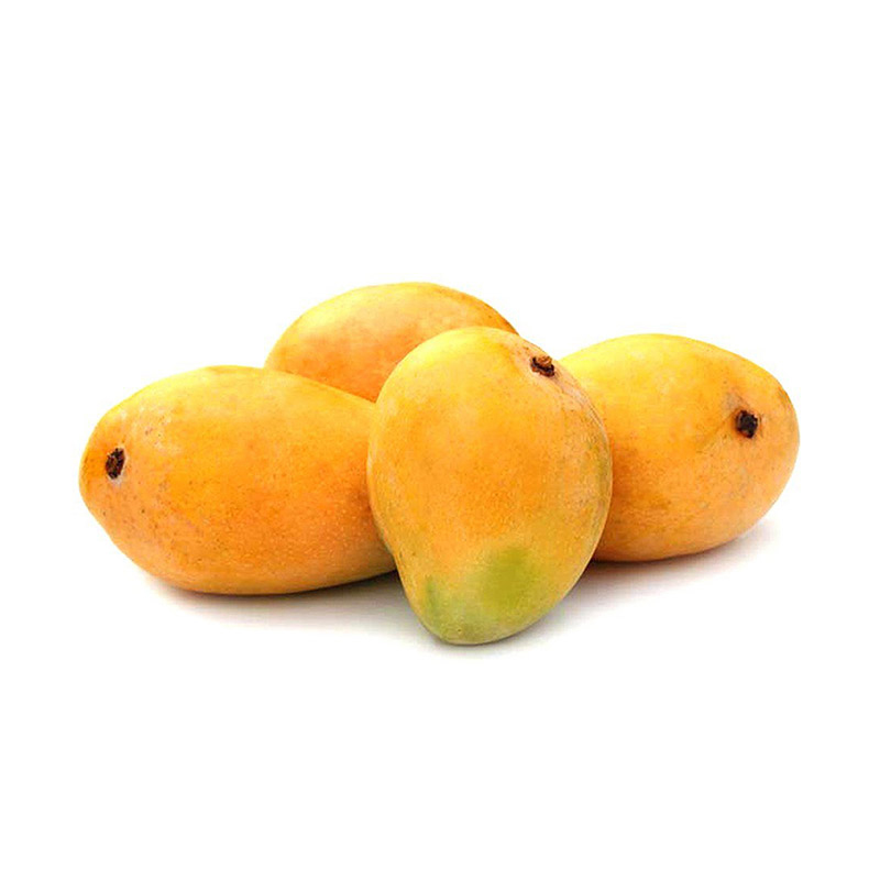 Cogol Manojo  