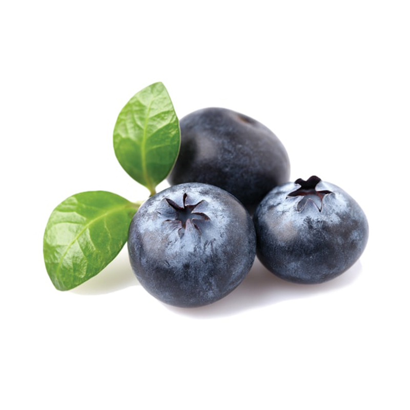 ARANDANOS TARRINA 125 g