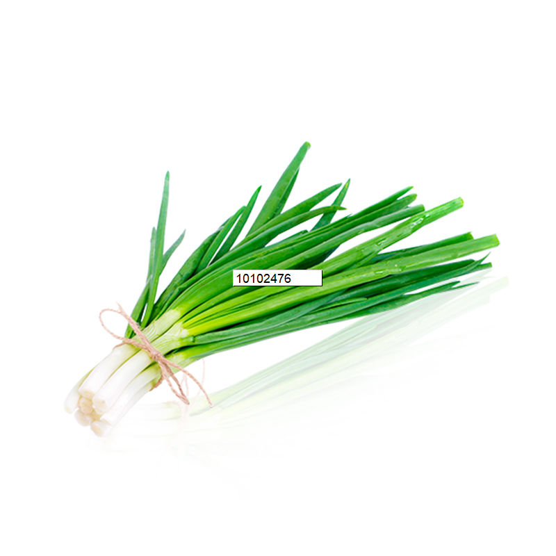 AJOS TIERNOS