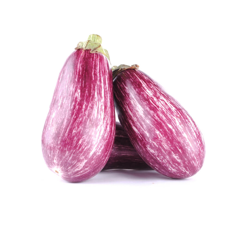 BERENJENA LISTADA