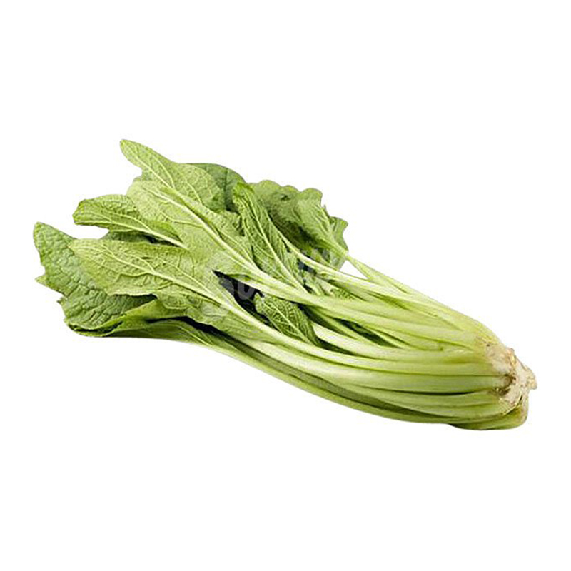 BORRAJA MANOJO