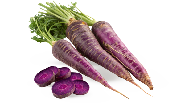 ZANAHORIA MORADA KG