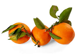 NARANJA NAVELINA (copia)