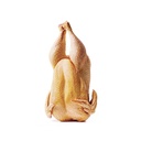 POLLO CARNES ROBLES KG