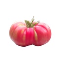 TOMATE ROSADO 