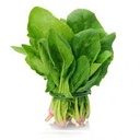 ESPINACAS (MANOJO)