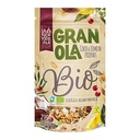 GRANOLA COCO/LIMON BIO NEWYORKINA GRANEL