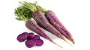 ZANAHORIA MORADA KG