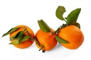 NARANJA NAVELATE