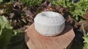 QUESO FRESCO LA PLANETA 350 gr