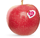 MANZANA PINK LADY